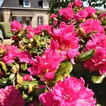 Holiday home Maison De And Clos Des Hogues Entre Etretat Et Fecamp Saint-Leonard (Seine-Maritime)