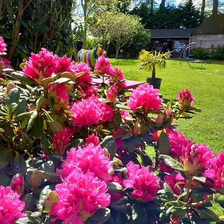 Hébergement de vacances Maison De Vacances&b&b Clos Des Hogues Entre Etretat Et Fécamp