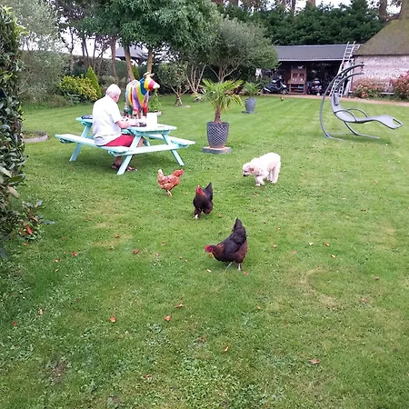 Maison De And Clos Des Hogues Entre Etretat Et Fecamp Holiday home