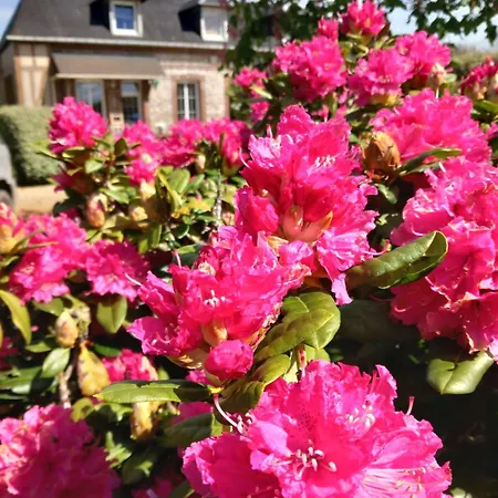 Ferienhaus Maison De And Clos Des Hogues Entre Etretat Et Fecamp Saint-Léonard