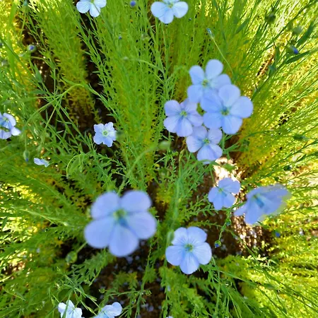 Holiday home Maison De And Clos Des Hogues Entre Etretat Et Fecamp